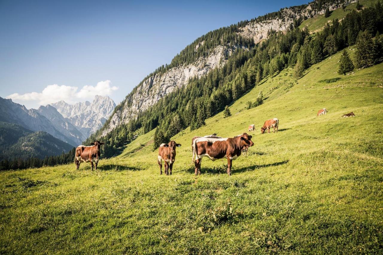 Ferienwohnung Waldblick - Freundlich Eingerichtete Ferienwohnung Berchtesgaden Exterior foto